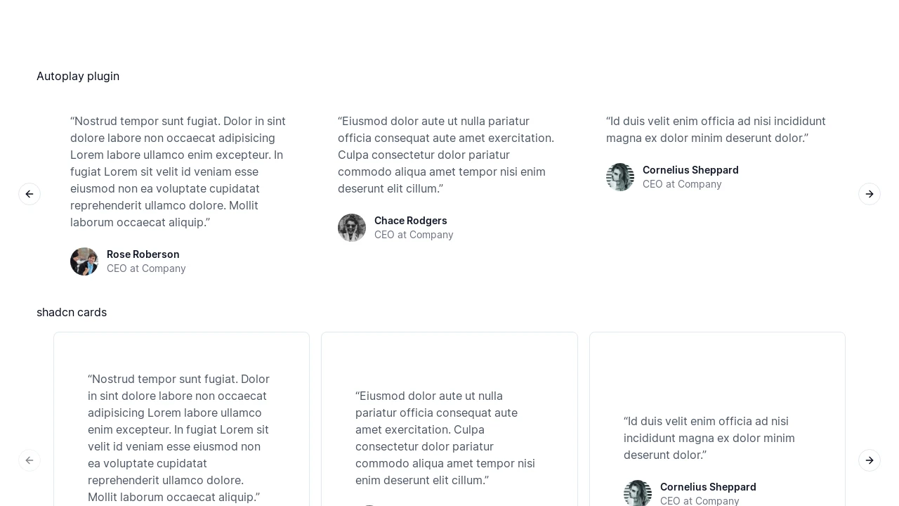 A screenshot of Shadcn Carousel Testimonials